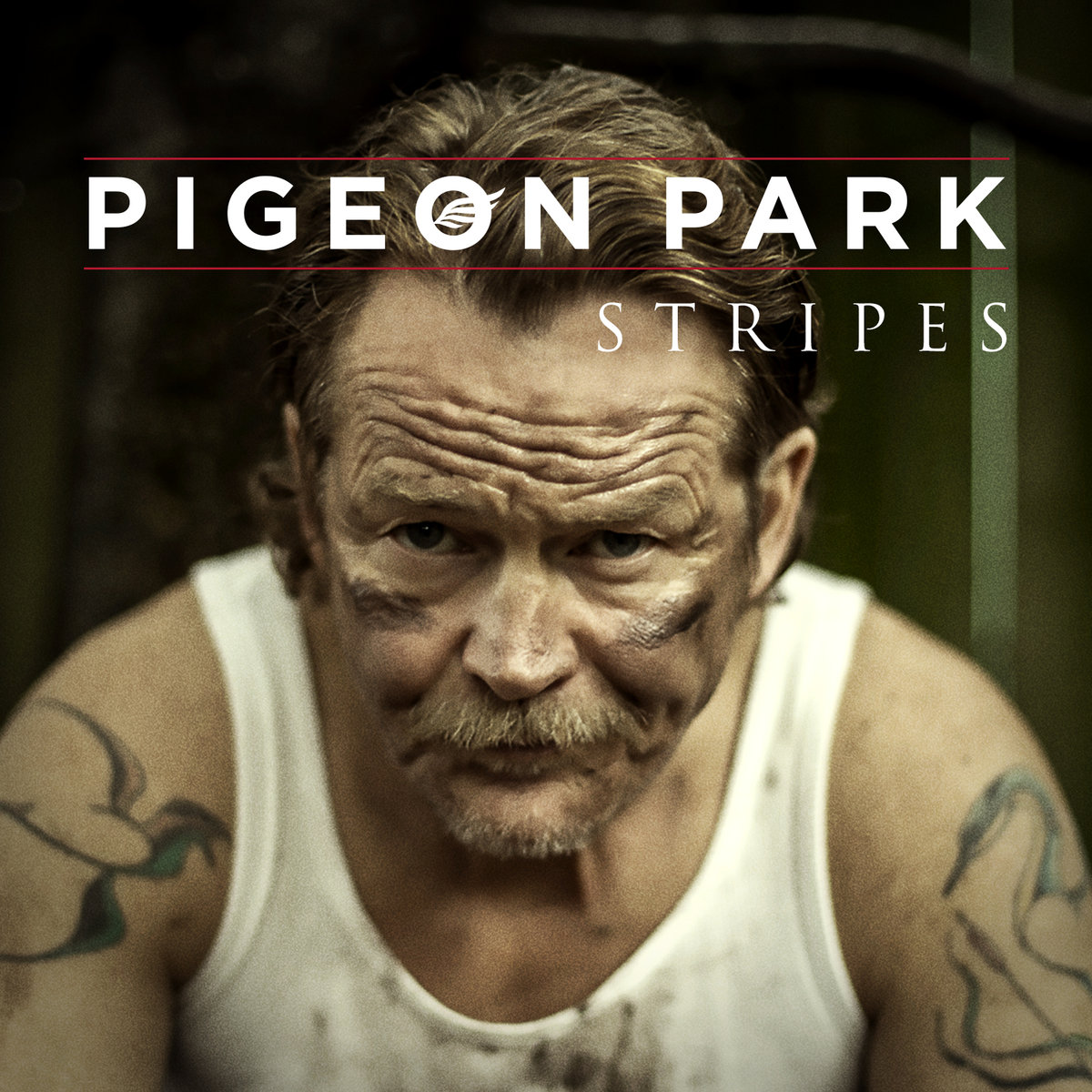 Spill Track Of The Day Pigeon Park High To Get By The Spill Magazine