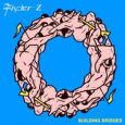 Fischer-Z