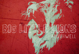 Big Little Lions