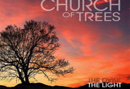 Church Of Trees