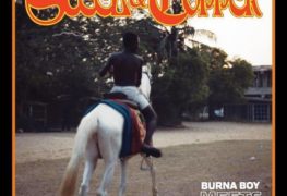 Burna Boy & DJDS
