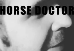 Horse Doctor