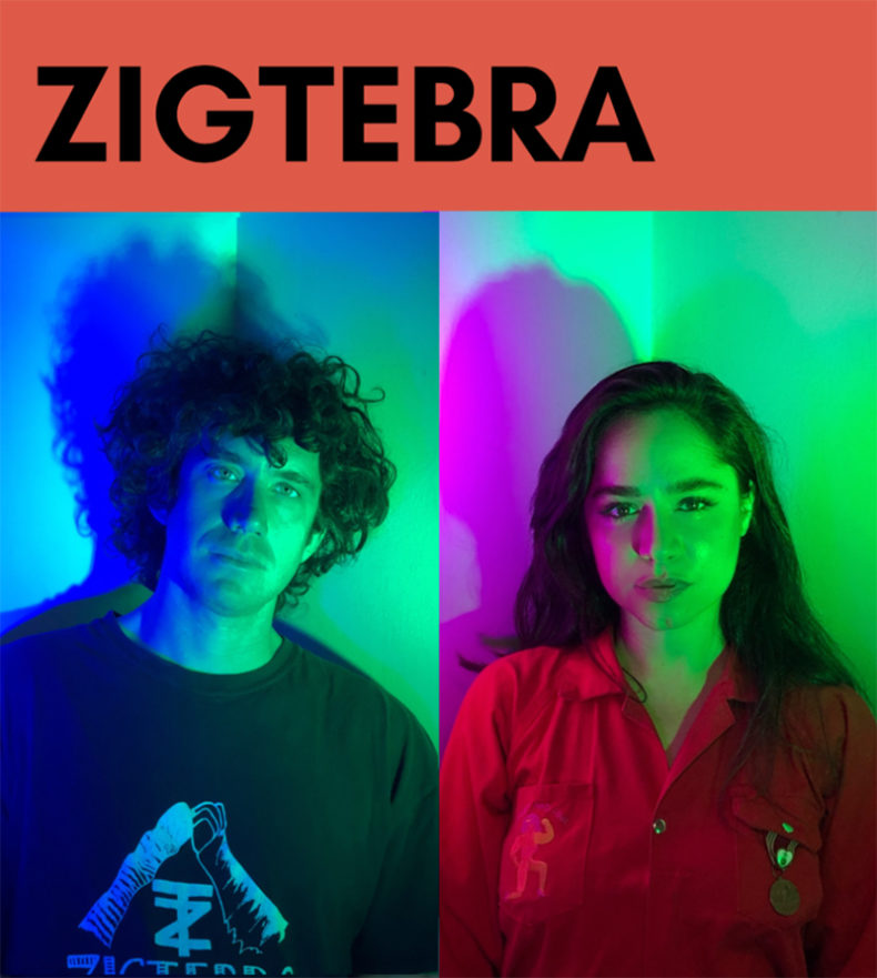 Zigtebra