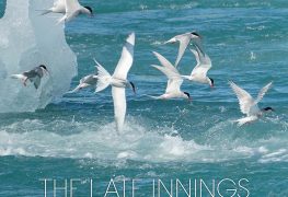 The Late Innings