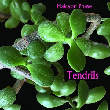 Tendrils