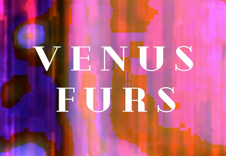 Venus Furs
