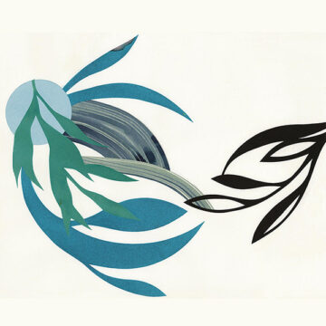 SPILL ALBUM REVIEW: THE NATURAL LINES – THE NATURAL LINES The Natural Lines