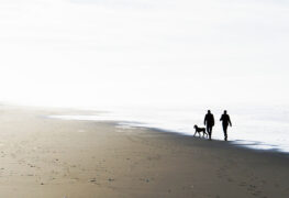 Six Organs of Admittance