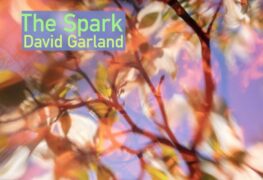 David Garland