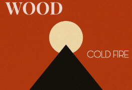 SPILL EP PREMIERE: THE WOOD – COLD FIRE The Wood