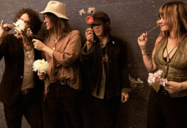 The Dandy Warhols