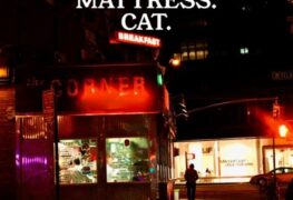 Singer. Mattress. Cat.