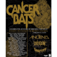 Cancer Bats