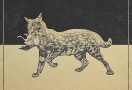 The Rural Alberta Advantage