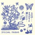 SPILL ALBUM REVIEW: SPECIAL FRIEND – CLIPPING Special Friend