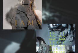 IAMX