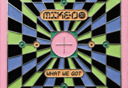SPILL NEW MUSIC: NEW RELEASE FROM MIKE D “WHAT WE GOT” OUT NOW Mike D