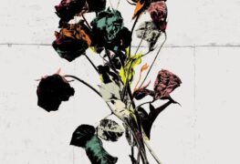 Shinedown