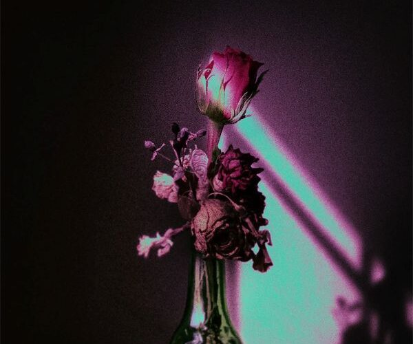featured image