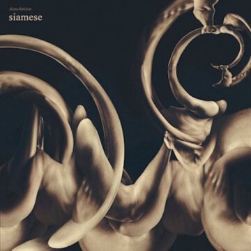 Siamese