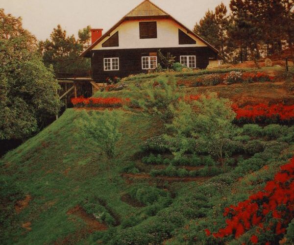 featured image