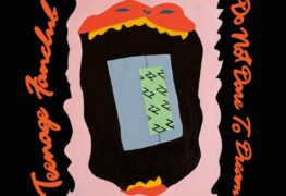 Teenage Fanclub