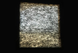 SPILL VIDEO PREMIERE: TINY MAGNETIC PETS – “LOST MY GUIDING LIGHT (AGAIN)” Tiny Magnetic Pets