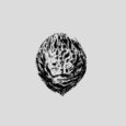 Black Lips