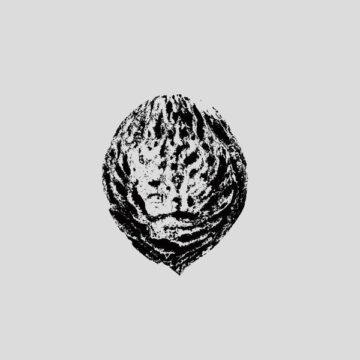 SPILL ALBUM REVIEW: BLACK LIPS – BEBOP ARMAGEDDON (DETOURS & OFFCUTS FROM SEASON OF THE PEACH) Black Lips