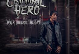 Criminal Hero