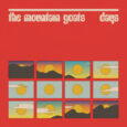 The Mountain Goats