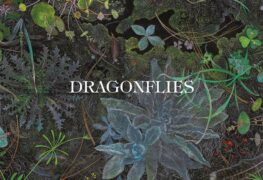 Dragonflies