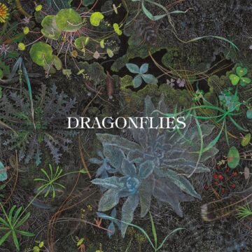 SPILL ALBUM REVIEW: DRAGONFLIES – DRAGONFLIES Dragonflies