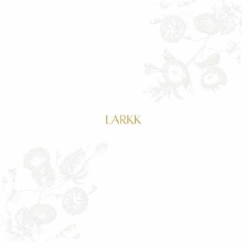 SPILL ALBUM REVIEW: LARKK – CINDERS (INSTRUMENTAL) Larkk