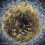 circle image