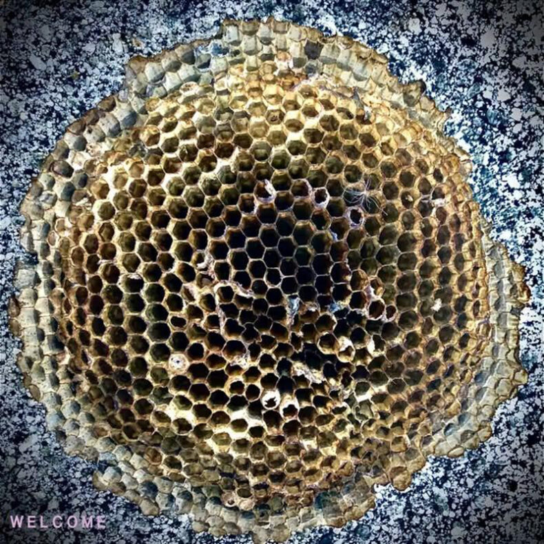 SPILL NEW MUSIC: RAYMOND J. LUSTIG – “THAT’S THE MOMENT” Ramond J. Lustig