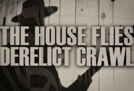 The House Flies