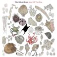 SPILL NEW MUSIC: THE SILENT BOYS – “SOUL OF THE SEA” The Silent Boys