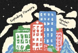Exploding Flowers