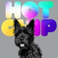 SPILL NEWS: HOT CHIP ANNOUNCE NEW ALBUM ‘A LONG WAY FROM KANSAS’ OUT JANUARY 8 ON DOMINO Hot Chip