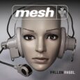 Mesh