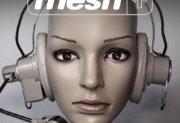 Mesh