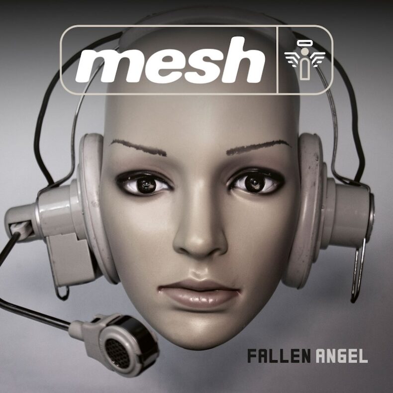 Mesh