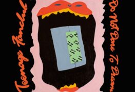 Teenage Fanclub