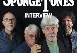 The Spongetones