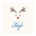 Sleigh